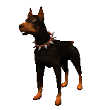 mOn cHieN